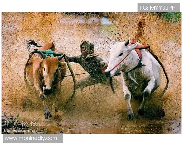 印尼军队与塞曼巴东的较量揭示东南亚安全局势新动态