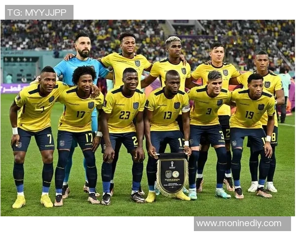 巴西与厄瓜多尔足球赛大名单分析及球员表现展望